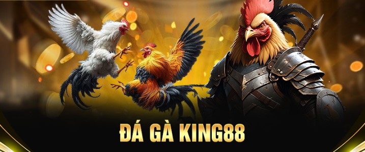 Đá Gà King88 - Sân chơi cá cược hấp dẫn cho người Việt