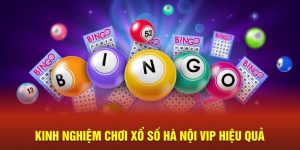 Xổ số Hà Nội Vip King88 – Cơ hội “đổi vận” hấp dẫn